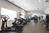 Located at 4463 Greens Edge Blvd in Fort Myers, Florida, this fitness center offers a thoughtfully organized, single-floor workout facility designed to support a comprehensive exercise routine. The space features a neutral color palette with light gray walls, a smooth dark rubberized flooring, and recessed ceiling lighting that creates a bright and focused environment. Natural light filters in through multiple windows fitted with horizontal blinds, adding an airy feel to the interior.

The cardio zone is well-appointed with multiple treadmills, elliptical trainers, a stair climber, and a stationary bike, all positioned to allow comfortable spacing between users. The strength training area includes a multi-station cable machine, weight benches, and a full dumbbell rack with an organized free weight selection. A wall-mounted flat-screen television is positioned for visibility across the workout floor, enhancing the exercise experience.

Floor-to-ceiling mirrors line a significant portion of the walls, visually expanding the space and allowing users to monitor their form during workouts. A small storage unit provides organizational convenience. The overall layout is clean and efficient, ensuring ease of movement throughout the facility. The fitness center is well-maintained and delivers a fully functional environment suited for both cardio and strength training needs.