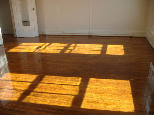 Living Room - Hardwood Floors - 210 N Geneva St