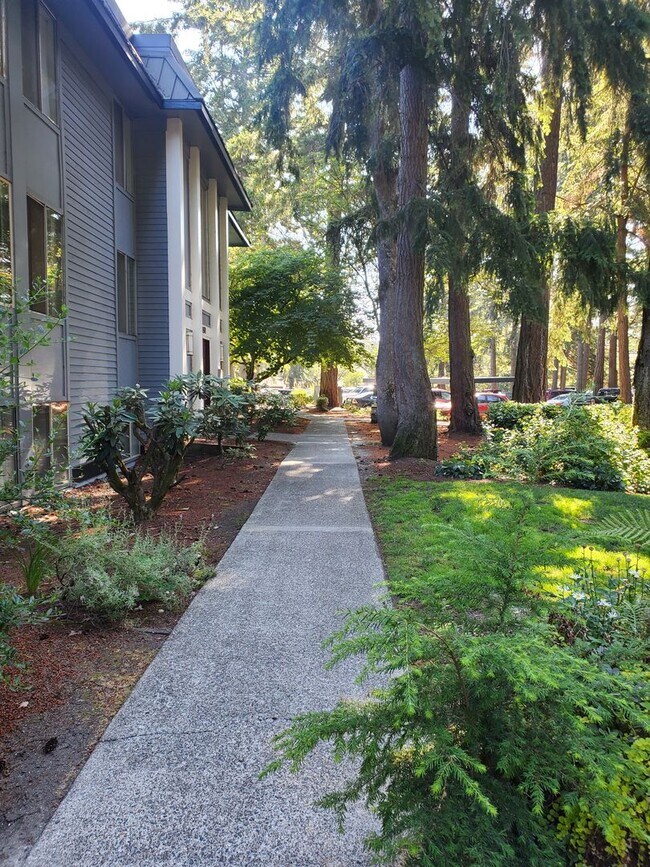 Building Photo - 8521 Zircon Dr SW