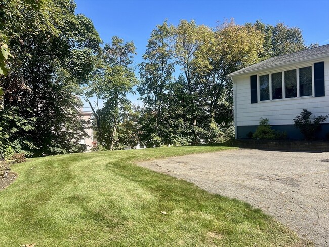 Foto del edificio - 24 Lily St