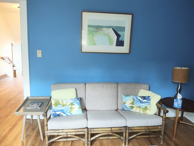 Furnishings and art are included - 413 N Geneva St