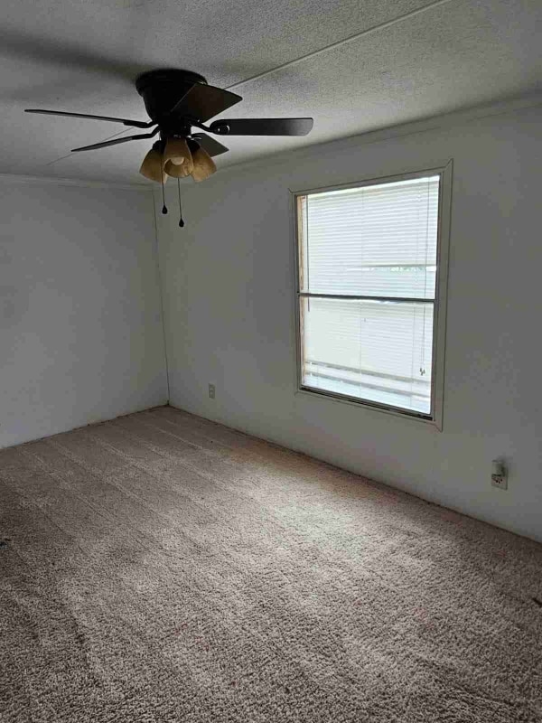 Primary Photo - 1336 Rockwood Ln