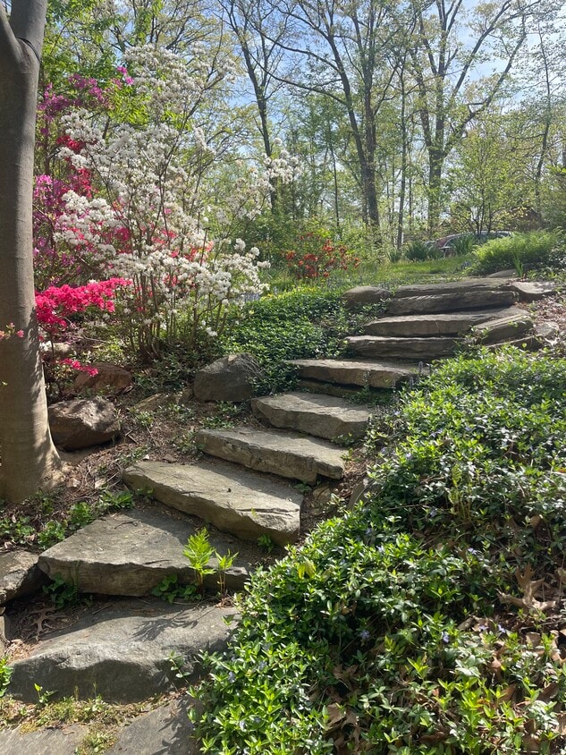 Photo - 6662 Van Winkle Dr (Falls Church, VA)