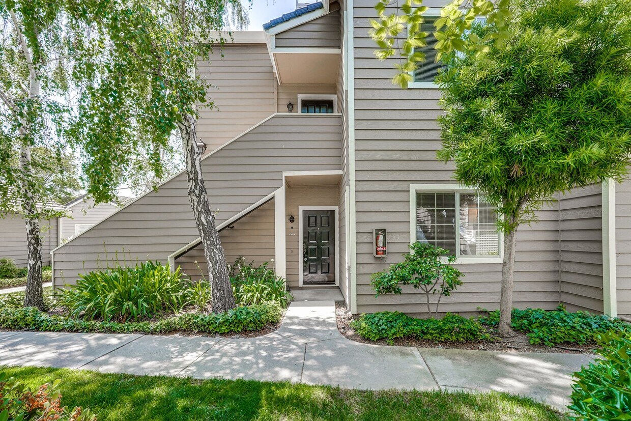 Foto principal - 2/2 Downstairs Unit in Desirable Park Alma...