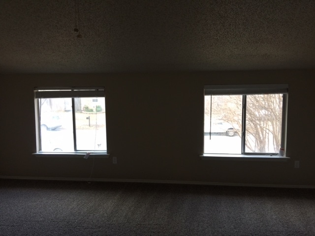 Building Photo - 3617 Daniel Drive