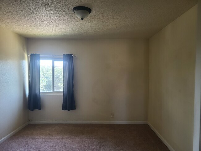 Foto del edificio - 2131 E Pacheco Blvd