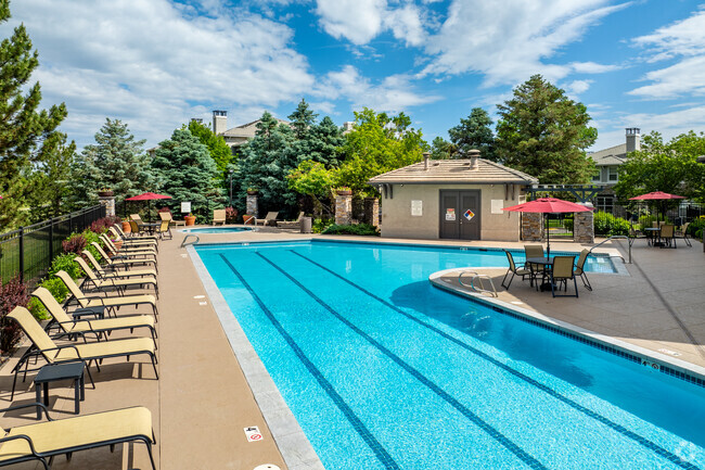 Piscina - Creekside at Highlands Ranch