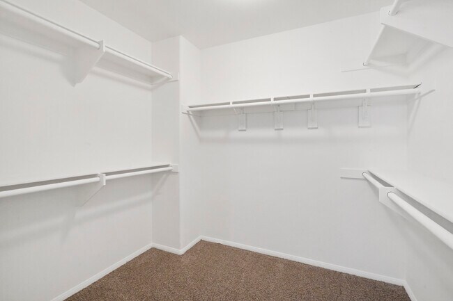 Master Walk-In Closet - 17342 Blue Aspen Ln