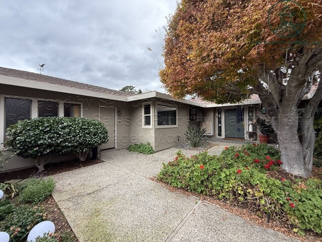 Building Photo - Beautifully Updated Three Bed (+ Bonus) Quail Lodge Home