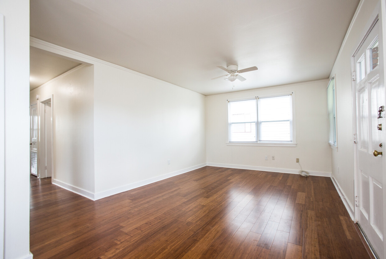 Primary Photo - 905 O'Dwyer Pl