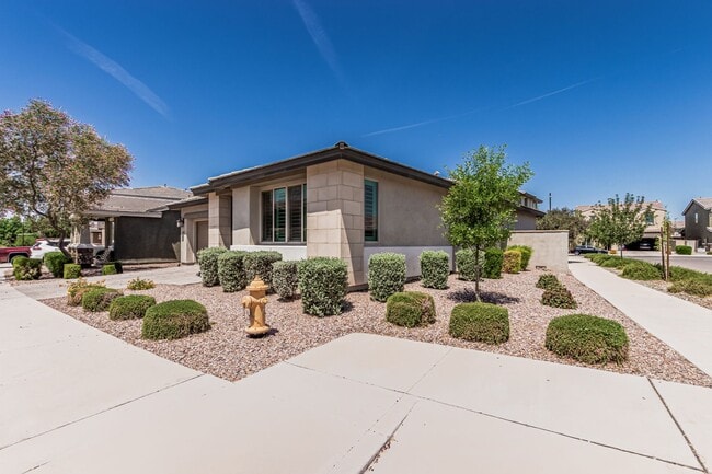 Building Photo - Single Story Home in Eastmark