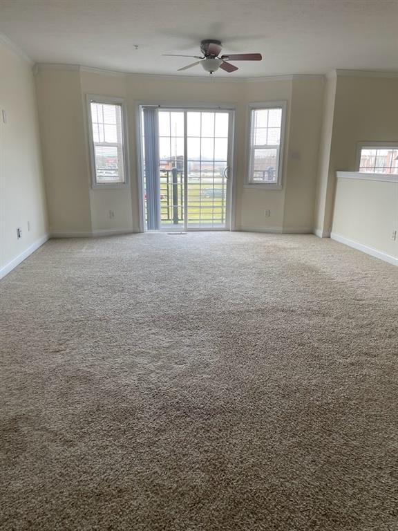 Building Photo - 1497 Royal Reserve Way