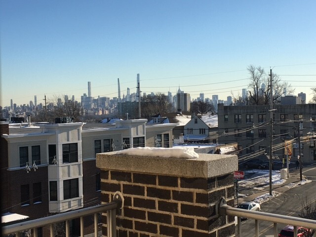 NYC skyline view from balcony during the day - 515 Anderson Ave