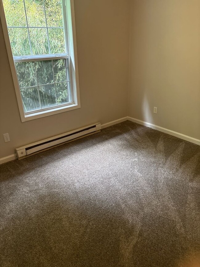 Foto del edificio - Newly Remodeled 3 Bedroom in East Asheville