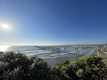 Building Photo - OCEAN BEACH STUDIO COTTAGE