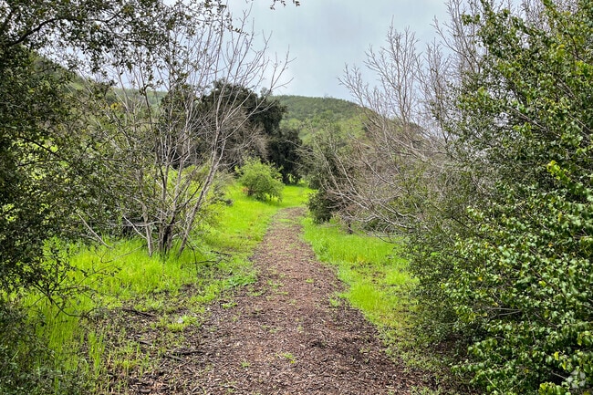 Wild Walnut Park hiking trails.