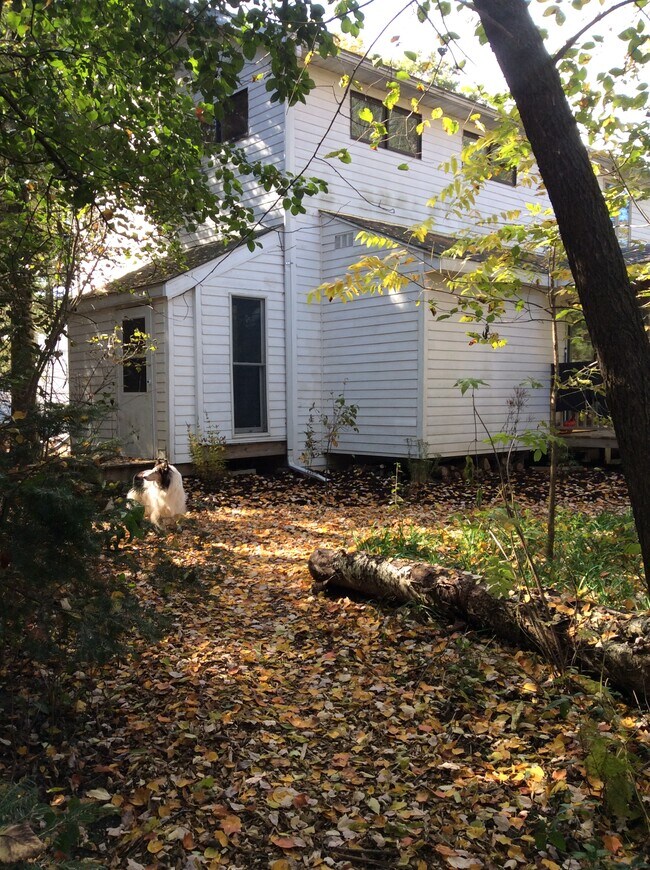 Studio apartment outside entrance includes a mud room before going downstairs to the basement. - 37408 Hemingway Ave