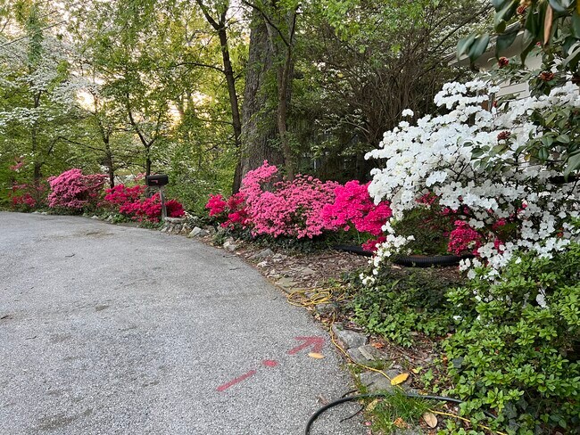 entrance - 2948 Albemarle St NW