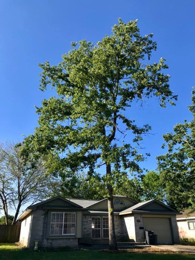 Foto principal - 9854 Golden Eagle St