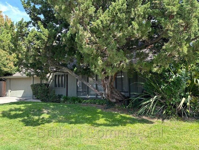 Foto del edificio - Very Spacious and Simply Gorgeous 2 Bedroo...