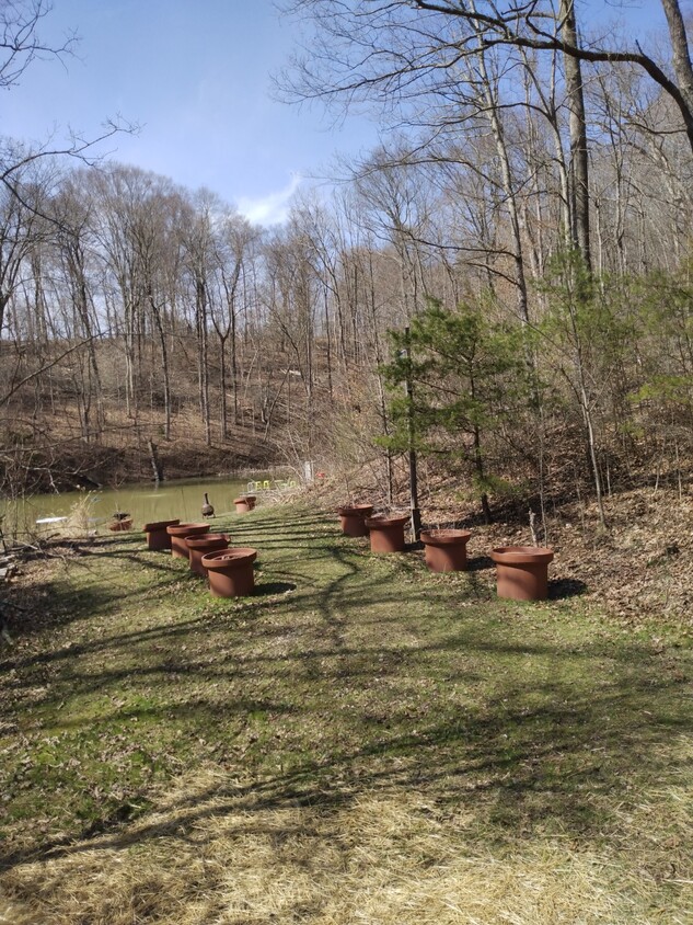 Foto principal - 11097 Frasure Helber Rd