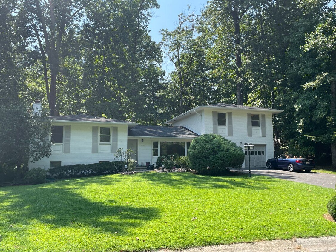 Primary Photo - Sparkling and Spacious