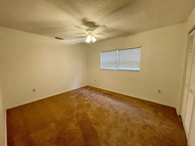 Building Photo - South Tampa Parkland Estates Rental