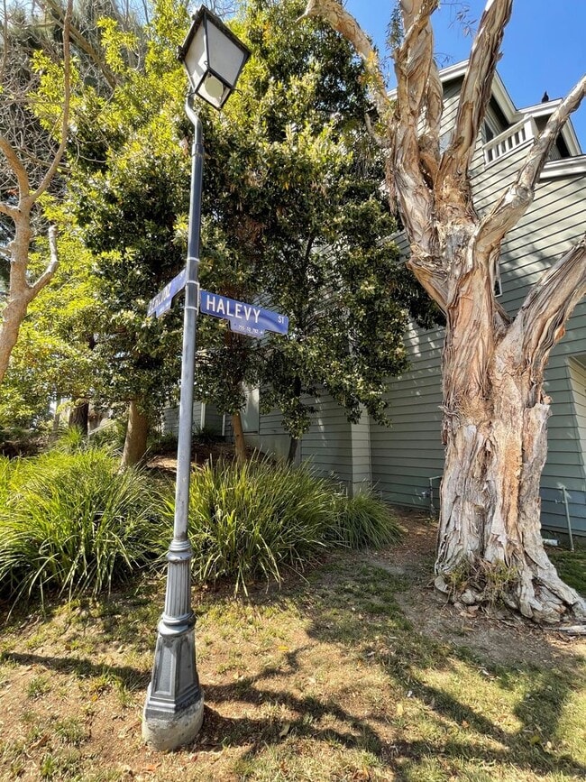 Building Photo - Desirable Cape Weston Condo