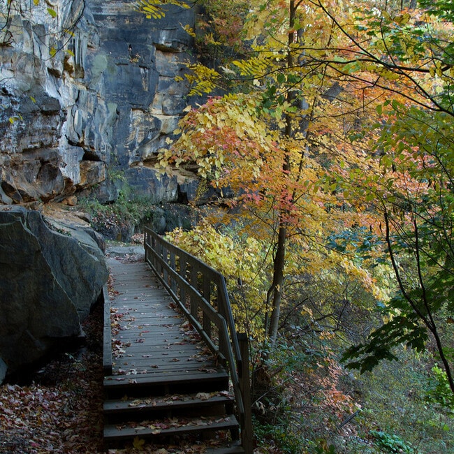 Gorge Park Across the Street - 1331 Hillcrest Dr