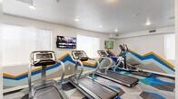 This fitness center is a thoughtfully designed exercise space that combines energetic aesthetics with a comprehensive range of workout equipment. The room is unified by a striking geometric carpet in shades of blue, teal, gray, and white, which pairs boldly with the eye-catching mountain-inspired mural painted along the walls in gold, blue, and gray tones — creating a visually stimulating and motivating atmosphere throughout.

The cardio zone features a row of treadmills and an elliptical machine, each equipped with individual screens for entertainment during workouts. Multiple wall-mounted flat-screen TVs are positioned throughout the space, ensuring visibility from virtually any area of the room.

The strength training area is equally well-appointed, offering a cable and multi-function resistance machine, a set of free weights on a dedicated rack, and adjustable weight benches — accommodating a full range of resistance and functional training exercises. A large mirror along one wall visually expands the space while allowing users to monitor their form.

Recessed lighting illuminates the room evenly, complemented by natural light filtering in through several windows. White structural columns are integrated cleanly into the layout, and the textured ceiling adds an additional layer of architectural character. The overall design is both functional and visually energetic, making this fitness center an inviting space for daily exercise.
