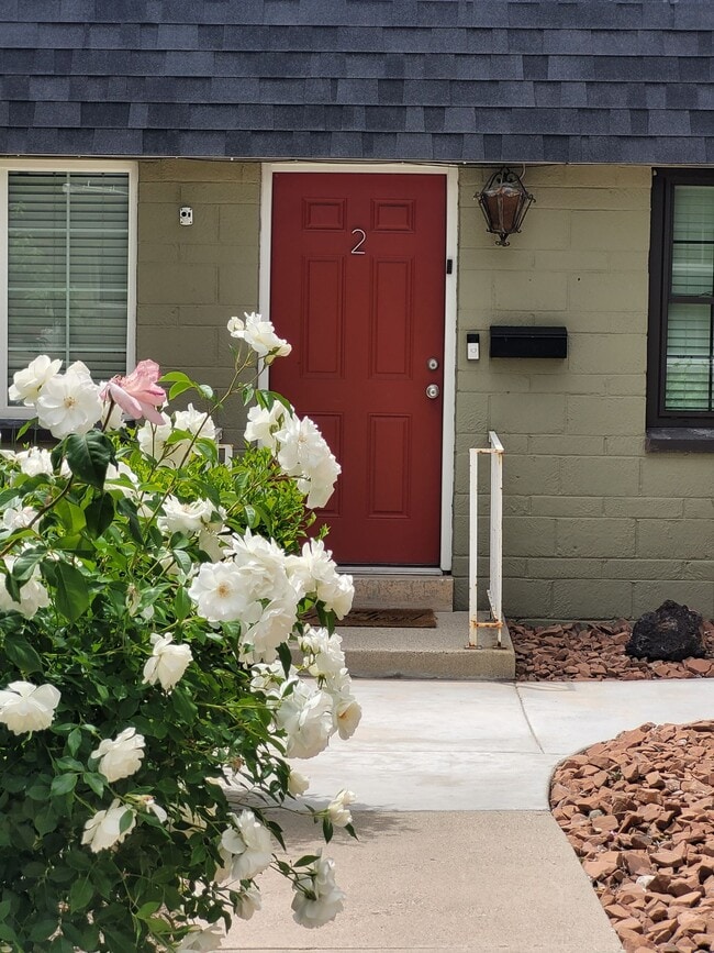 Photo - 1 Bed 1 Bath Main Level (no neighbors above or below) Apartment within Walking Distance to Whole ...