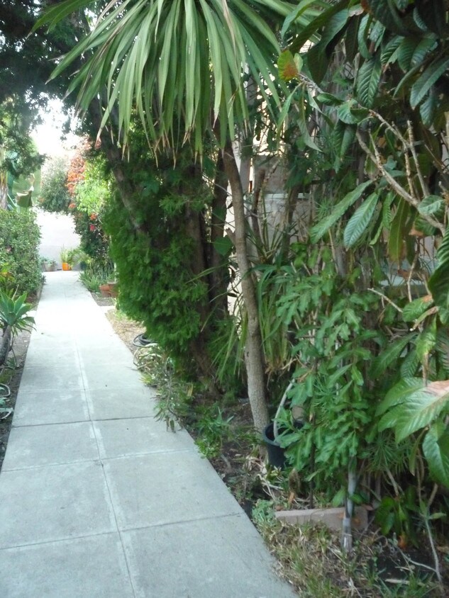 1679 Golden Gate Ave, Los Angeles, CA 90026 1679 Golden Gate Ave Los