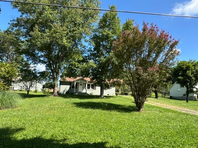 Building Photo - Newly Remodeled