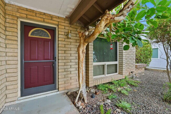 Foto del edificio - 1805 W Curry Dr