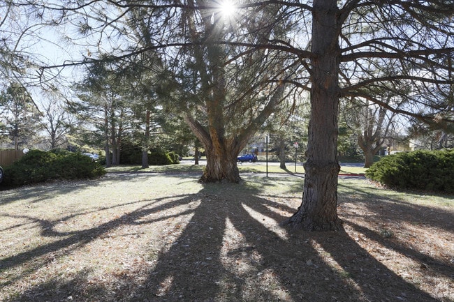 Yard - Brookview Apartments