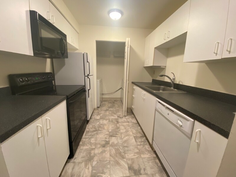 3 Douglass Park Unit 213, Boston, MA 02118 Condo for Rent in Boston