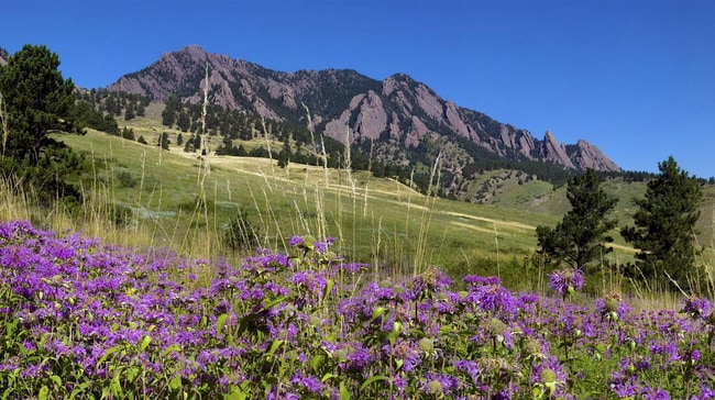 Building Photo - Beautiful & Large 4-Bd 2.5-Ba, in Boulders...