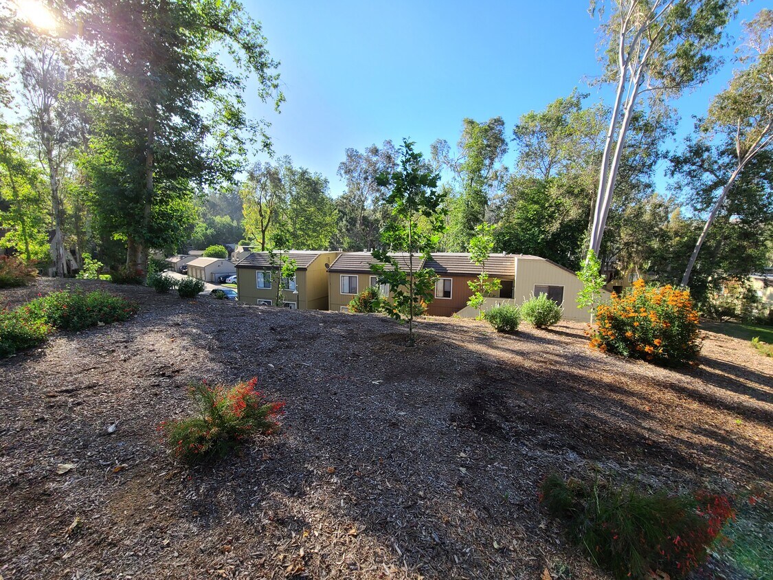 Sycamore Canyons Apartments in Riverside, CA Westside Rentals