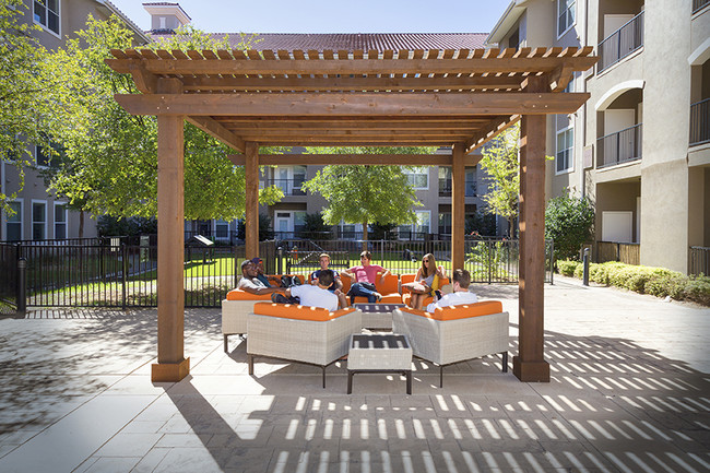 Centre Dog Park Lounge Area - Centre Suites I