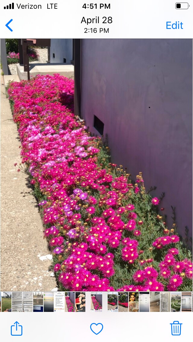 Entry - 9042 Carson St