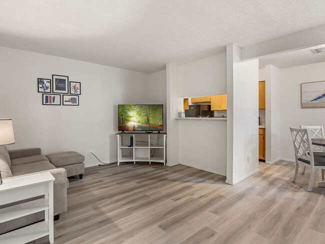 ¡Planos de piso de concepto abierto! - Saddlecreek Apartments