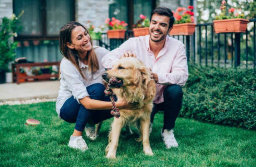 The Annie Apartments Apartments 840 S Main St Cedar City, UT