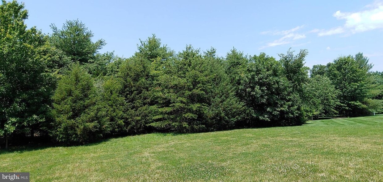 25461 Lemon Tree Pl, South Riding, VA 20152 House Rental in South