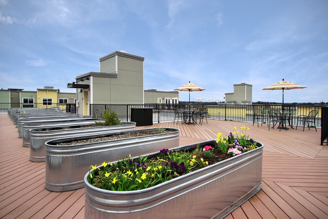 Resident Sun Deck - Destinations Lynnwood 61+ Active Adult Apartment Homes
