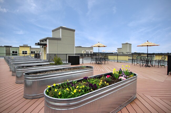 Terraza para residentes - Destinations Lynnwood 61+ Active Adult Apartment Homes