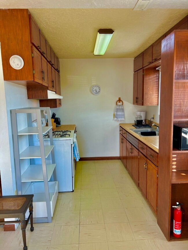 Building Photo - 3058 Tenorio Dr