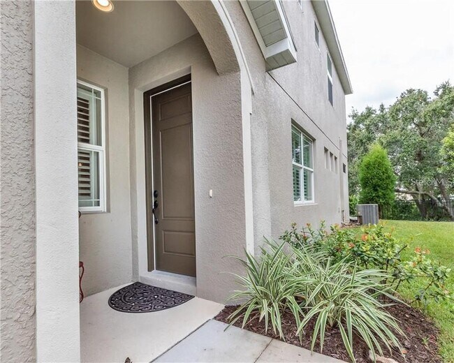 443 Harbor Springs Dr, Palm Harbor, FL 34683 Townhome Rentals in Palm Harbor FL