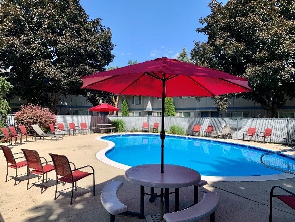 Pool - Curtis Meadow