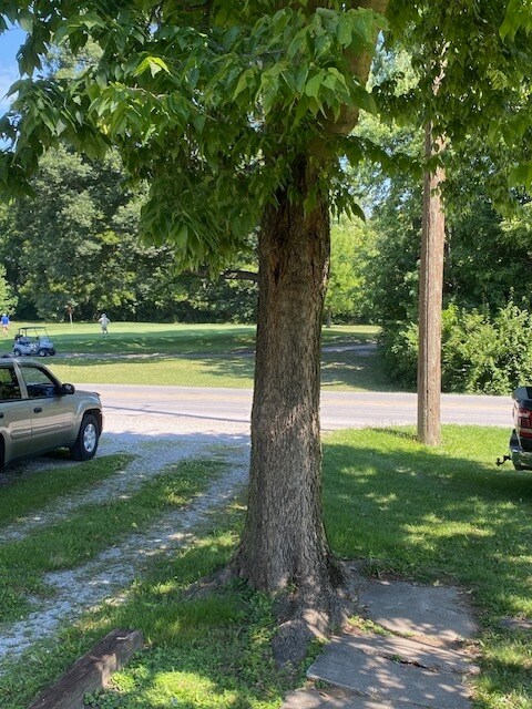 Fotografía del edificio - 2611 E Troy Ave