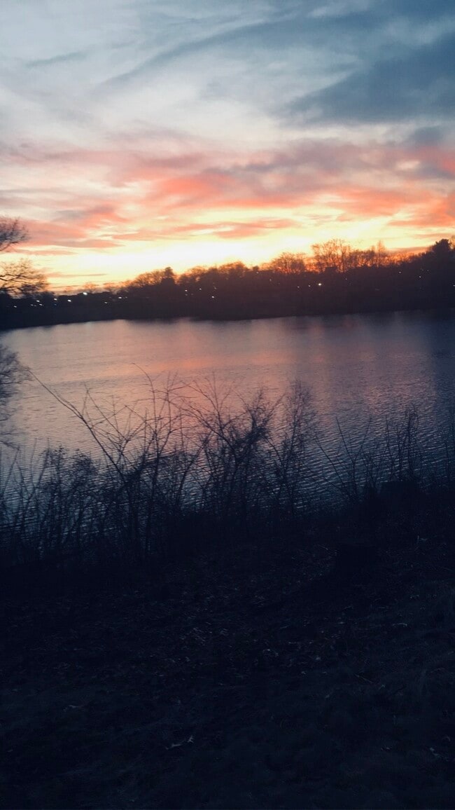 Building Photo - 252 Arcadia Blvd